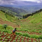 Rwanda the Land of a Thousand Hills