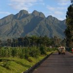 Rwanda Safari