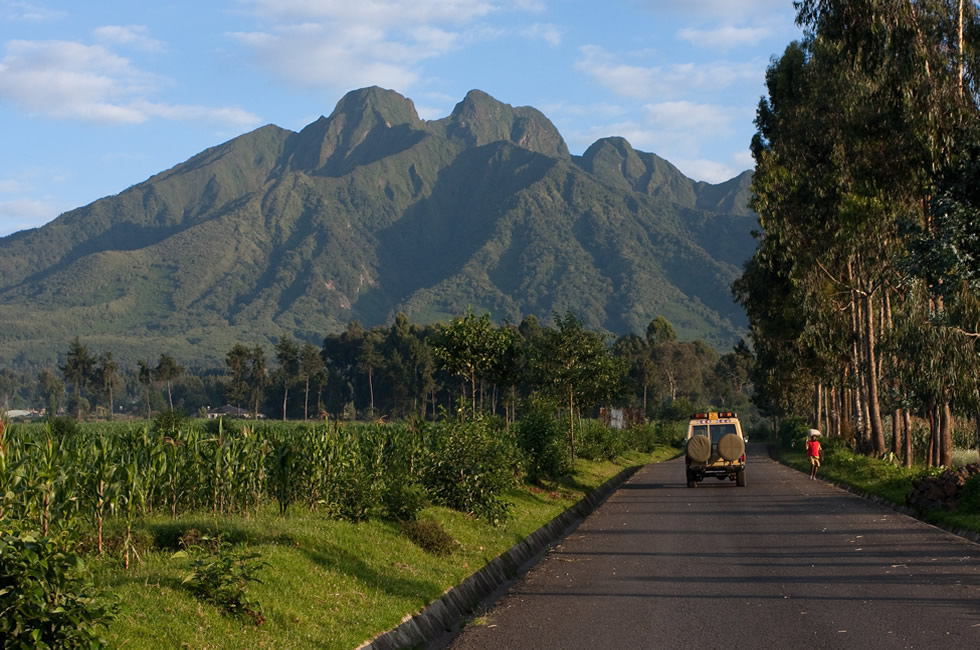 Rwanda Safari